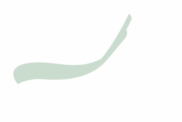 Logo Dreumex
